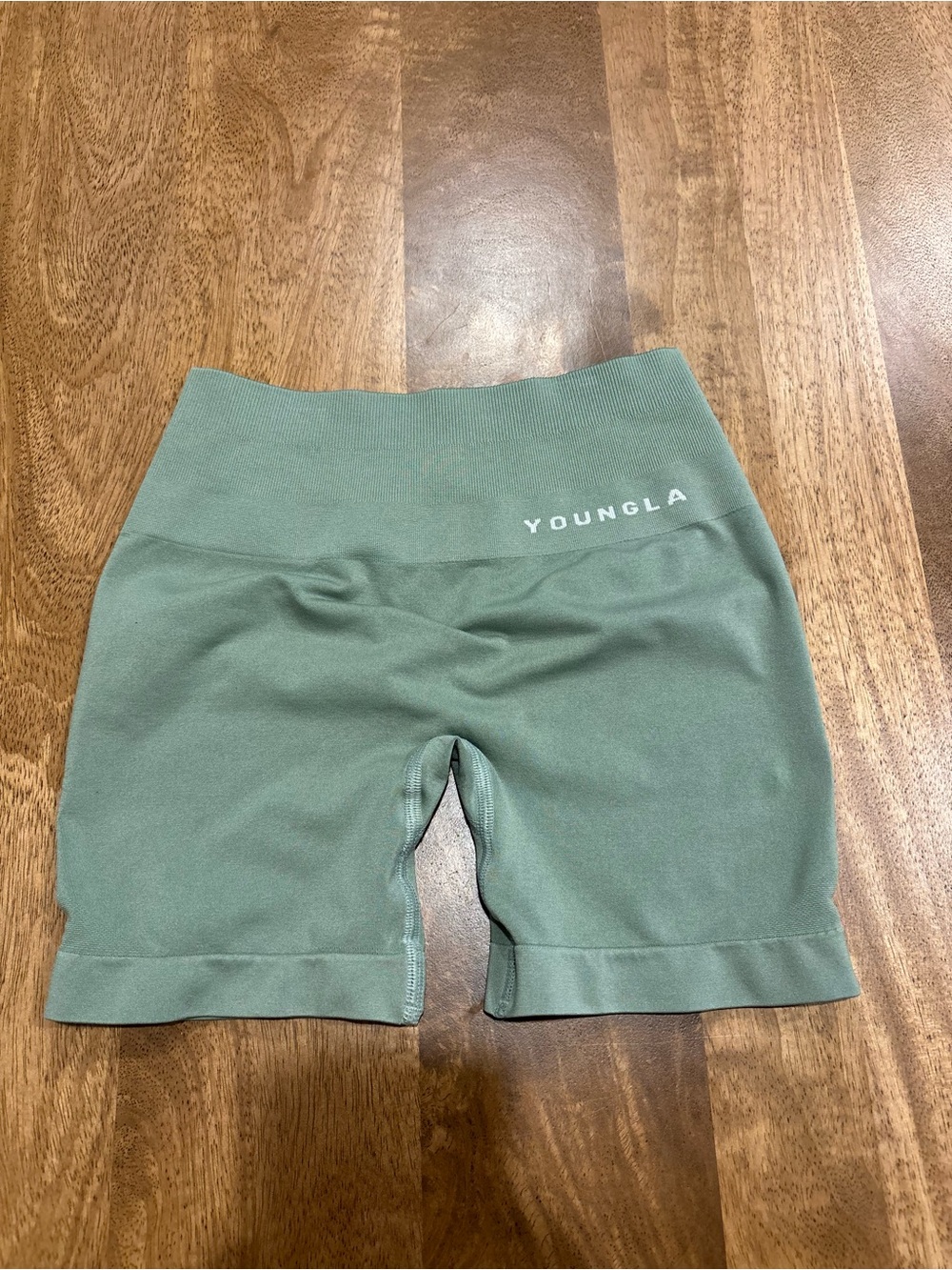 YoungLA Sage Green High-Rise Seamless Bike Shorts